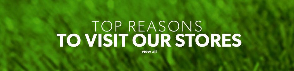 Top Five Reasons
