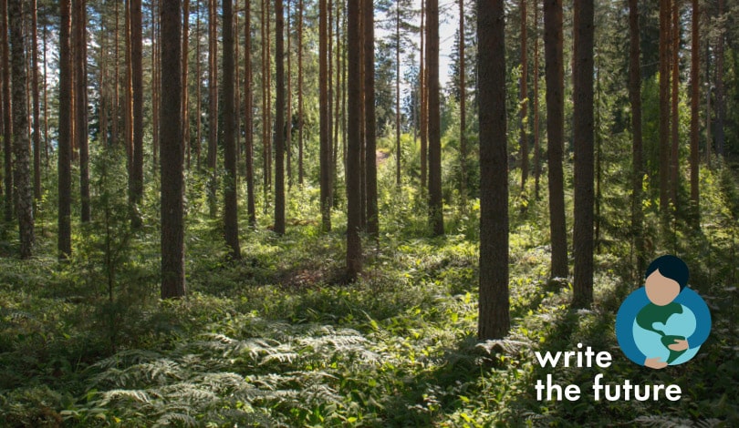 Our Sustainability Pledge