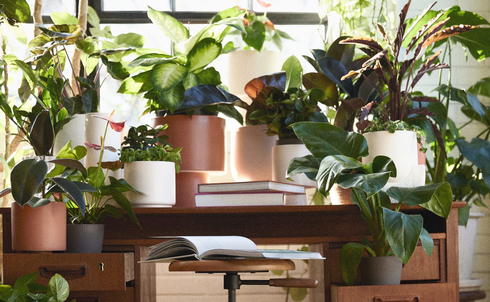 Indoor plants in OUI planters on a table with books.