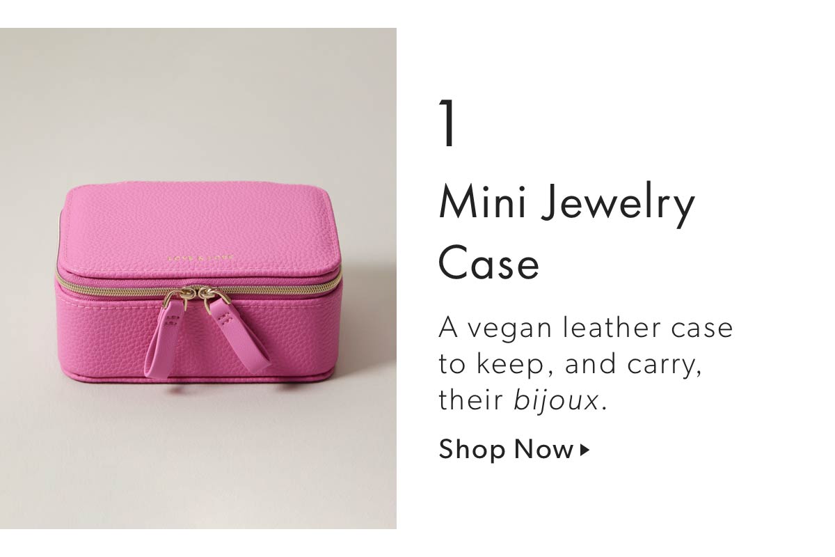 1 Mini Jewelry Case
