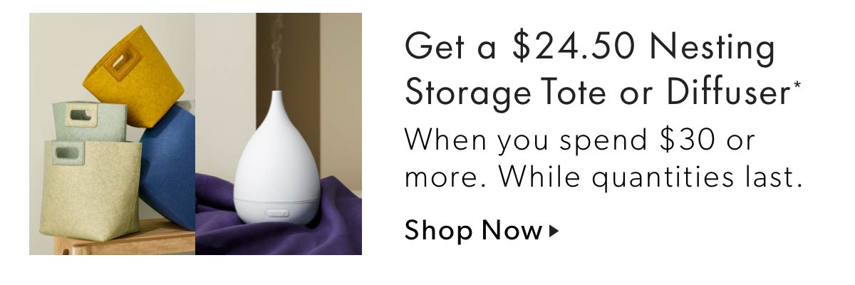 Get a $24.50 Nesting Storage Tote or Diffuser 