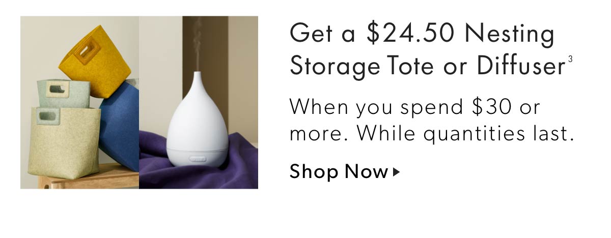 Get a $24.50 Nesting Storage Tote or Diffuser