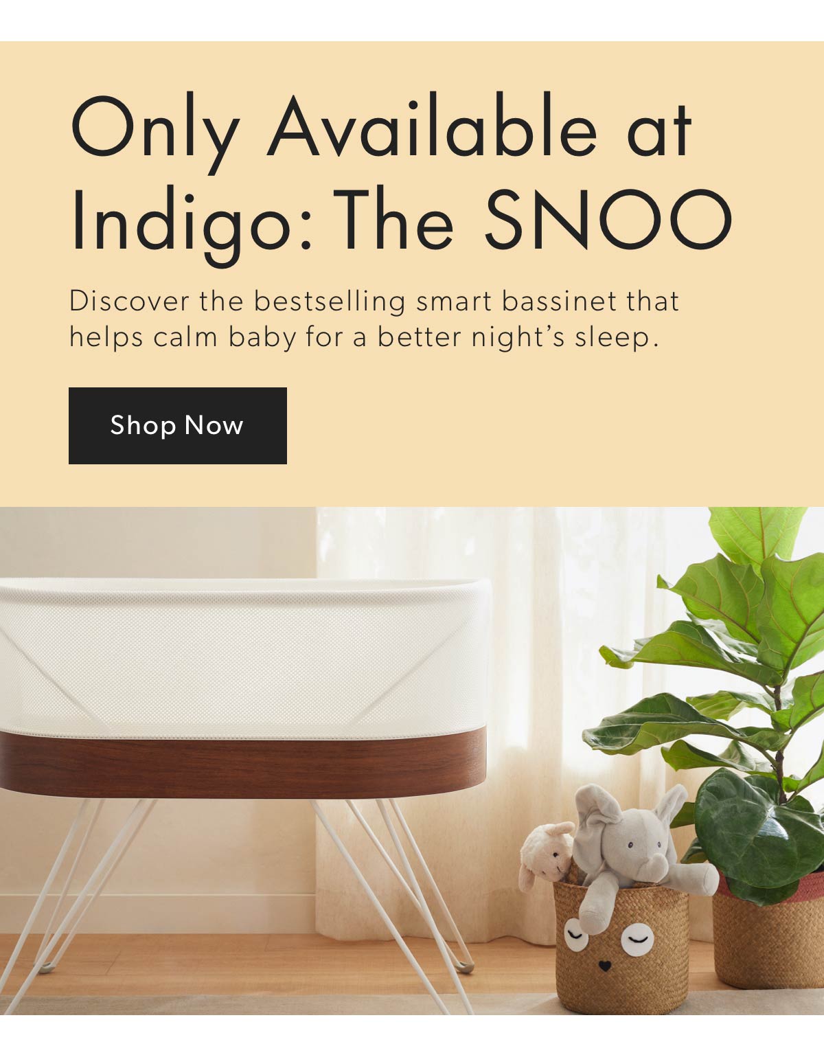 Only Available at Indigo: The SNOO