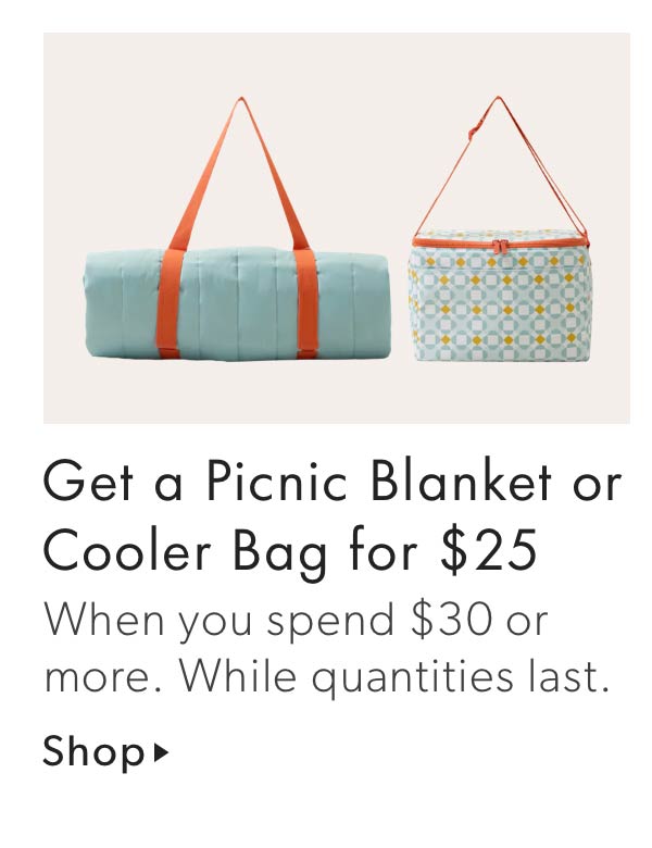 Get a picnic blanket or cooler bag for $25