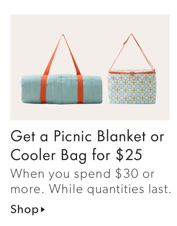 Get a Picnic Blanket or Cooler Bag for $25