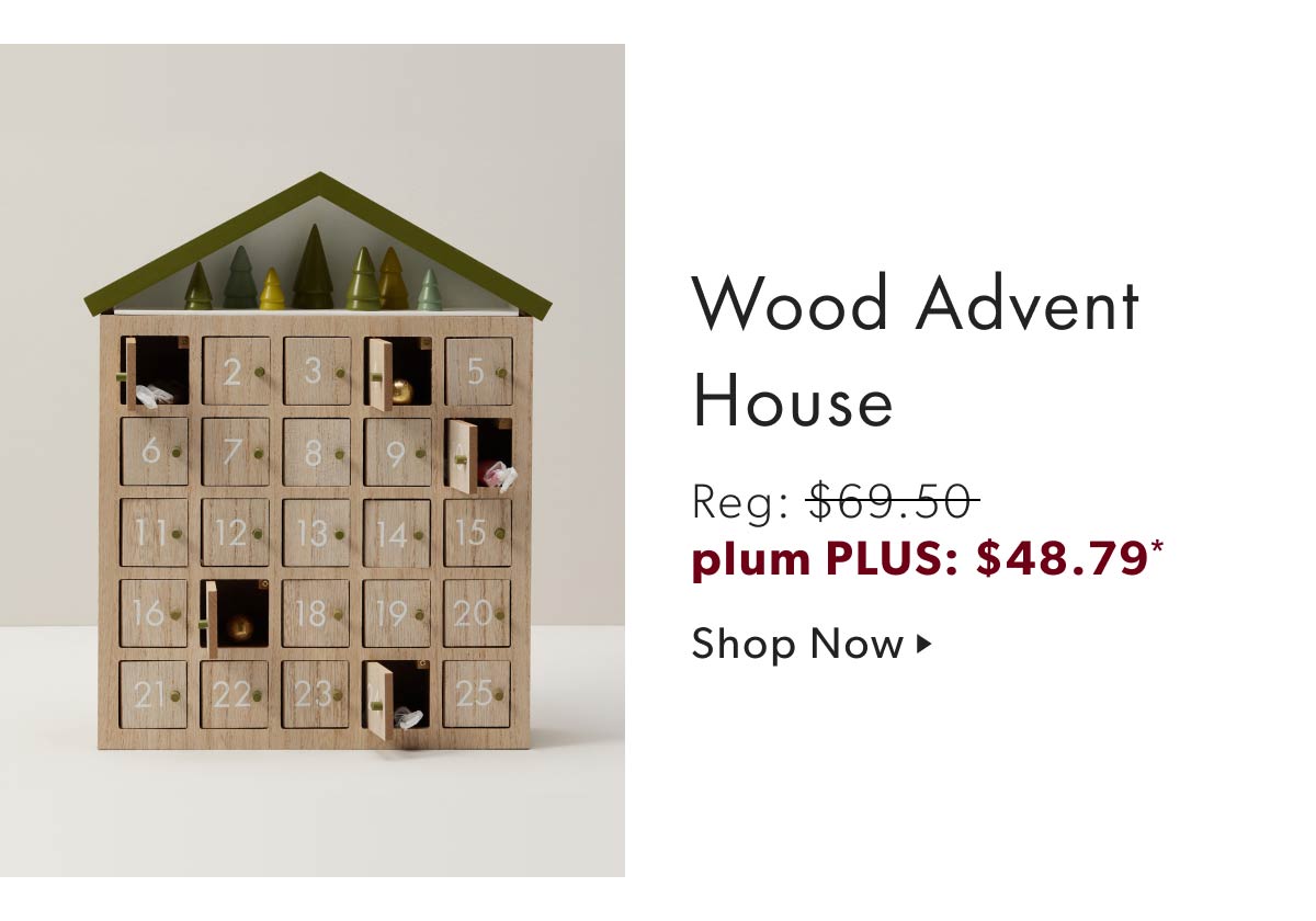 Wood Advent House