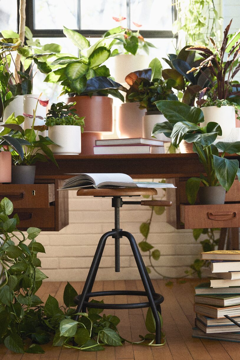 Desktop and stool featuring stack of books and surrounded by potted plants