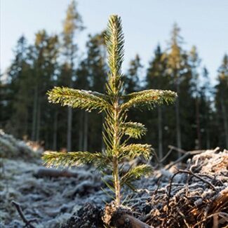 @indigo Instagram photo posted April 22, 2021. For full image description view in Instagram. Opens in a new tab.